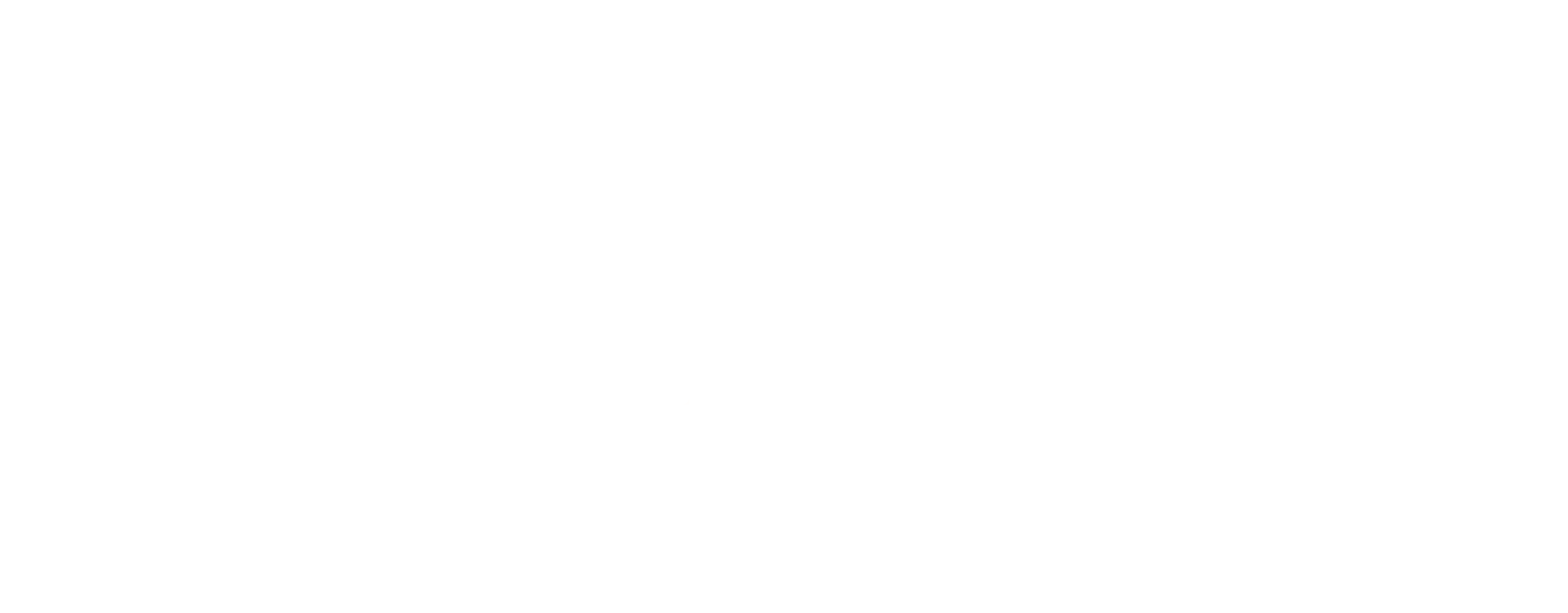 Envisi8 Creative Portfolio Logo White No background